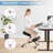 Meneau Adjustable Height  Kneeling Chair for Office and Home