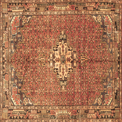 Oriental Indoor Rug