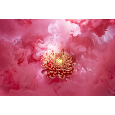Orange Flower In A Soft Pink Cloud by ~UserGI15966731 - Wrapped Canvas Print