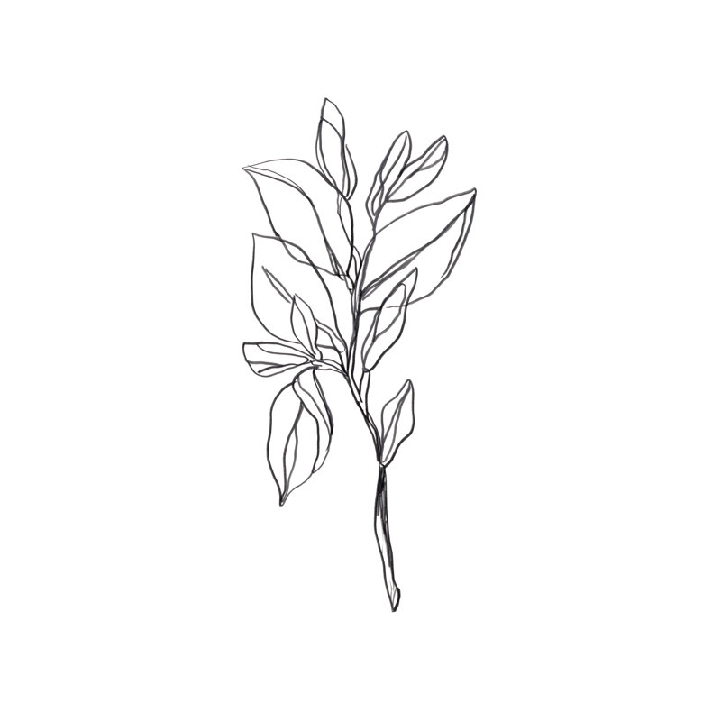 Leaf Sprig I by June Erica Vess - Print on Canvas, Wrapped Canvas, 122cm H x 81cm W