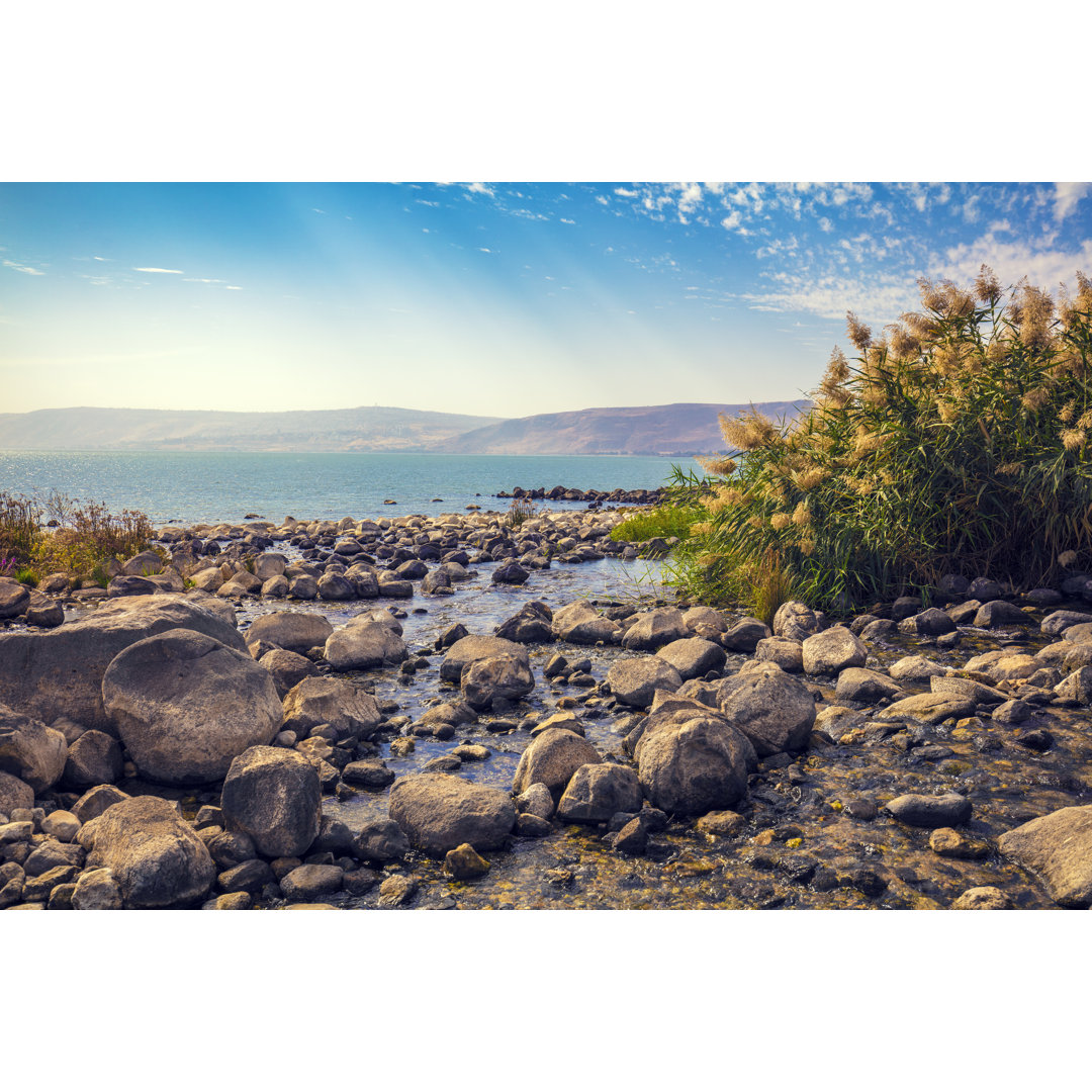 Leinwandbild The Coast Of The Sea Of Galilee Near Ein Eyov Waterfall In Tabgha, Israel