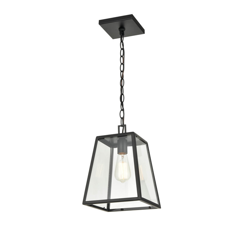 Luminaire suspendu d'extérieur 1 lumière H 15 po Reingard, Noir