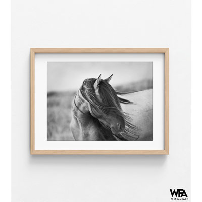 «Fierce Grace» par Tony Stromberg, noir et blanc, chambre d'amis équestre, Inspo