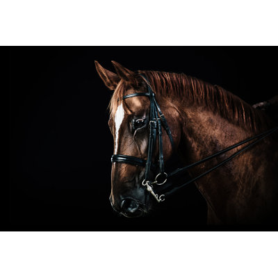 Cheval châtaignier par Pixalot