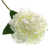 White selected