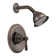 Kingsley Temperature Control Shower Faucet