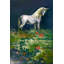 «Unicorn Garden», reproduction sur toile tendue-26399171