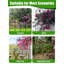 220cm H x 50cm W Metal Gothic Trellis