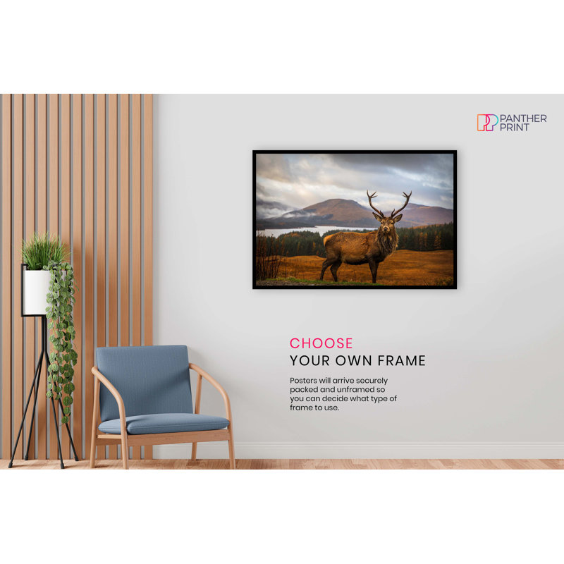 Red Deer On Highlands Wildlife - Wrapped Canvas Print, 51cm H x 76cm W