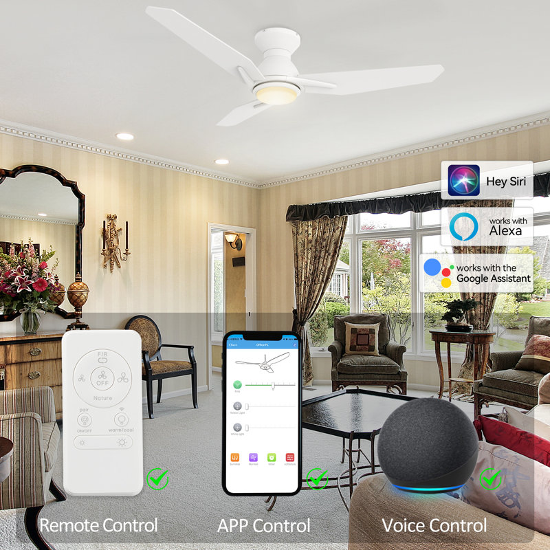 48" Amontae 3 - Blade Smart Ceiling Fan with Light, White, White