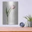 «Light Tulips II» par Debra Van Swearingen-564399076