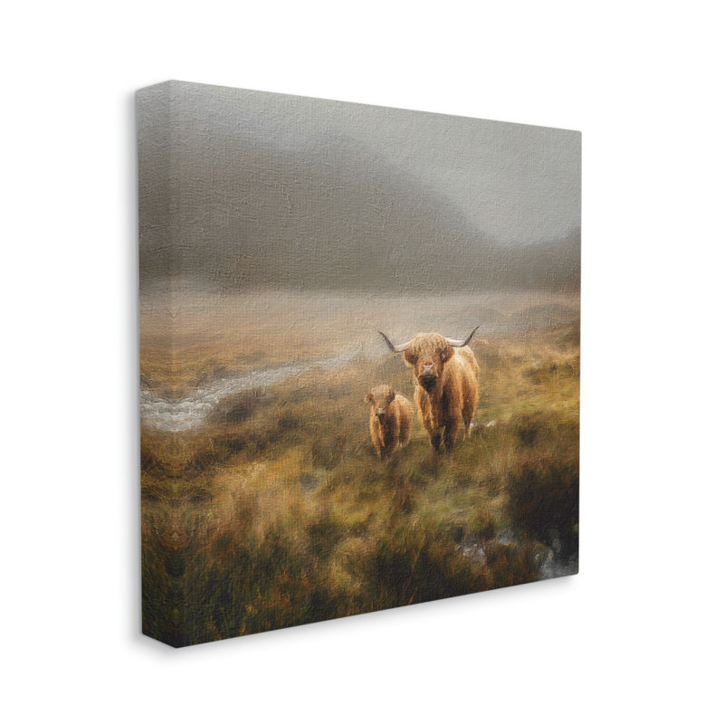 Highland Cows, paysage champêtre sur toile par Paul Brent, photographie, H 17 po x l 17 po x P 1,5 po