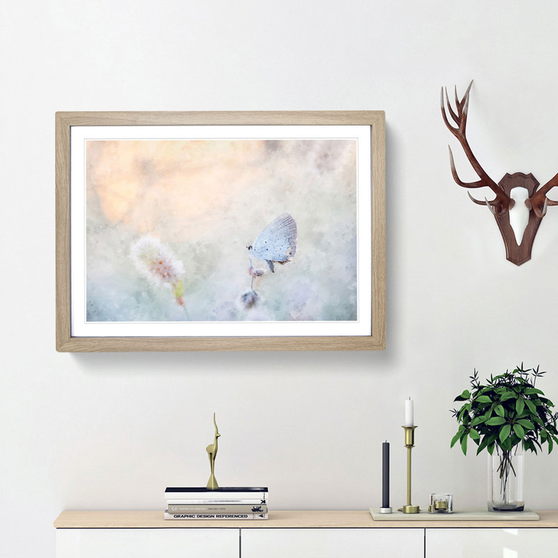 Tailed-Blue Butterfly - Picture Frame Painting Print, 24cm H x 33cm W x 2cm D, Oak Framed