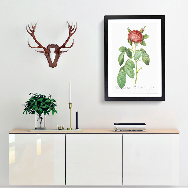 Red Gallic Rose by Pierre-Joseph Redoute - Picture Frame Painting Print, 65cm H x 48cm W x 2cm D, Black Framed