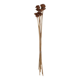 Mini branche de cèdre rose (Ensemble de 4)