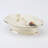 Gilded Birds Bath Soap Dish