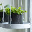 Plant Tray Hanging Round-71819498-71819496