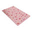 Princess Lillifee Floral Area Rug-12891901