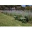 Bistro Outdoor Round Bistro Table-559127900-559127918