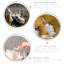 Wine Accessories