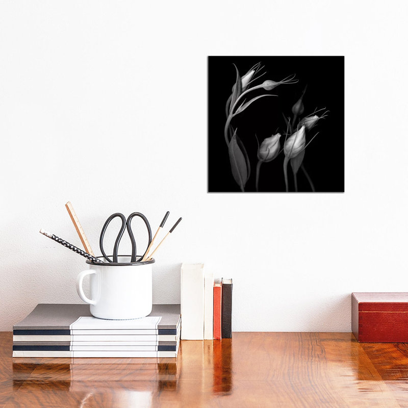 Lisianthus IV, B&W by Magda Indigo - Wrapped Canvas Print, 30.48 cm H x 30.48 cm W