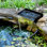 Pond Waterfall