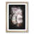 Oak Framed selected
