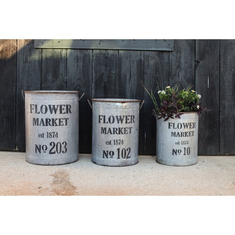 Sego Decorative Round Metal Buckets with Handles and Flower