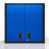 Bleu / Noir