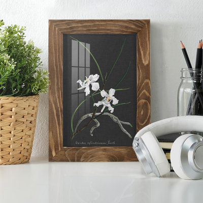 Orchidée sur ardoise II - impression d'un seul cadre photo