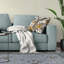 Coussin Rainforest Reverie Broadcloth-95282016-95282018