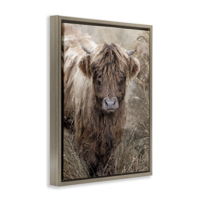 Baby Cattle with Reeds Framed Floater Canvas Wall Art by Sundance Group, LLC.