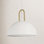Dugan Single Light Metal Dimmable Pendant