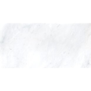 https://assets.wfcdn.com/im/73735580/resize-h310-w310%5Ecompr-r85/1718/171859705/arabescato-carrara-6x12-honed-marble-field-tile.jpg