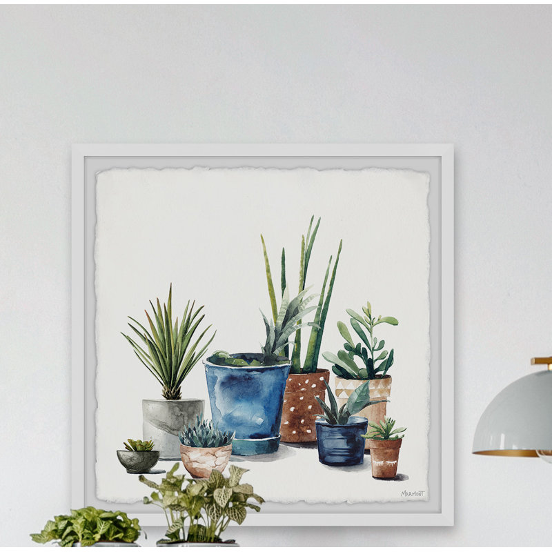 Reproduction d’art sur toile tendue « succulents galore », H 32 po x l 32 po x P 1,5 po