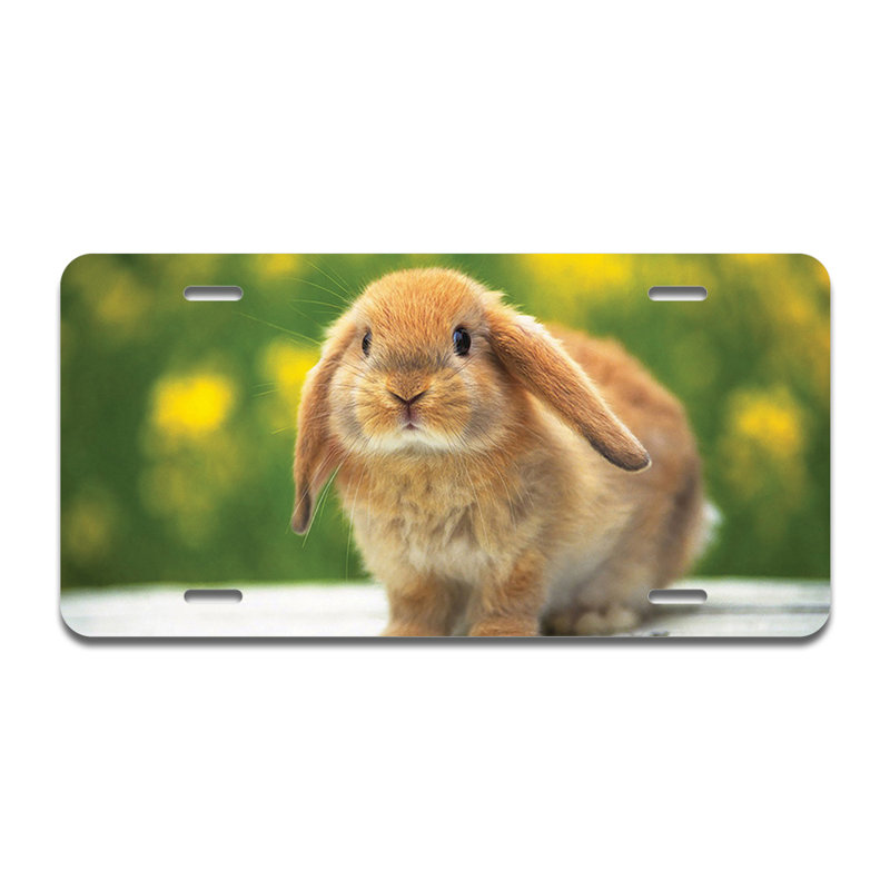 Cadre en aluminium Rabbit