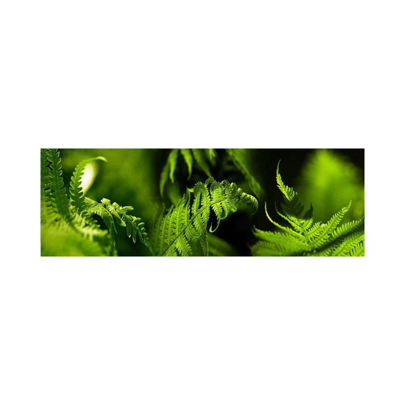 Fern - Wrapped Canvas Panoramic Print, 121.92 cm H x 40.64 cm W x 1.91 cm D