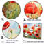 Radiant Red Poppies Pulse I - impressions de toiles de coquelicots-97058255-97058266