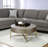 Light Brown & Champagne Finish Coffee Table