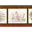 Bordure d'oiseaux tropicaux exotiques Wissem