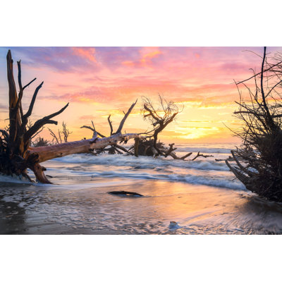 " Dead Tree Boneyard " by Keithbriley