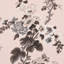 Pyne Hollyhock Wallpaper-43073253