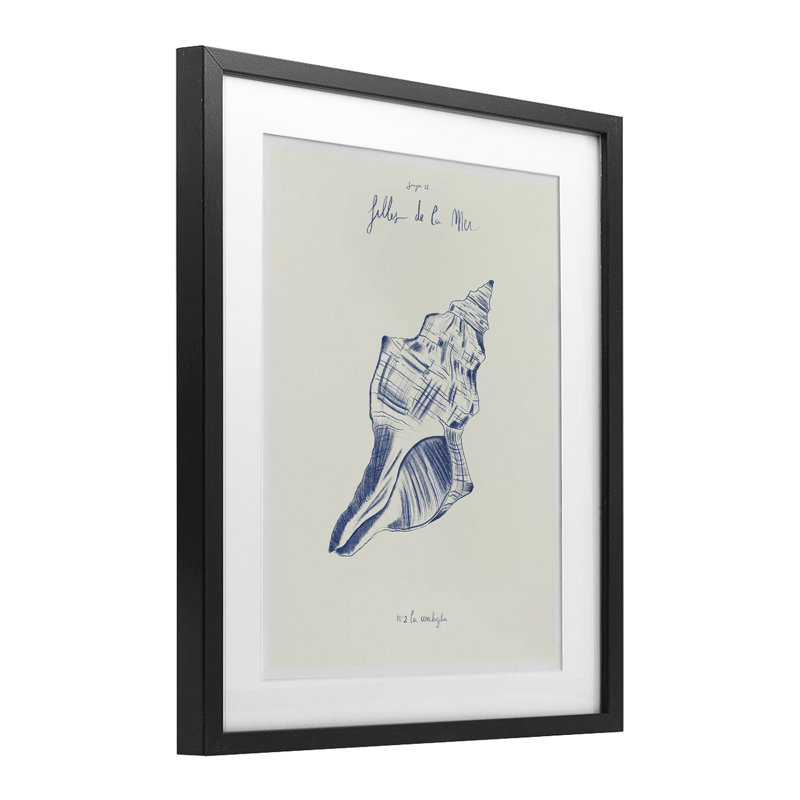 «Filles De La Mer Conch Shell», reproduction sous verre encadrée, conception par 1x, Cadre noir minuit, H 16 po x l 13 po