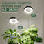 Anneau de croissance à DEL avec base de support, lampe de bureau à spectre complet de 8 W, lumière de croissance réglable pour les plantes d'intérieur, les semis et les plantes d'intérieur