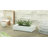 4.1 " H Faux Onion Grass in Solid Wood Planter