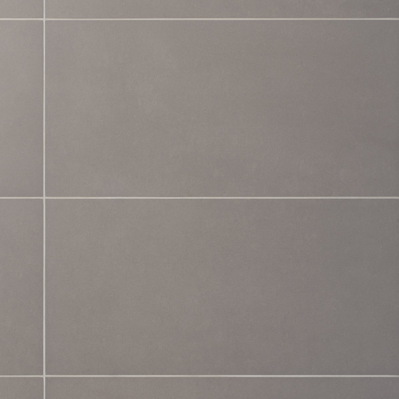 Carreau de porcelaine 12 po x 24 po Techno, Gris mat foncé