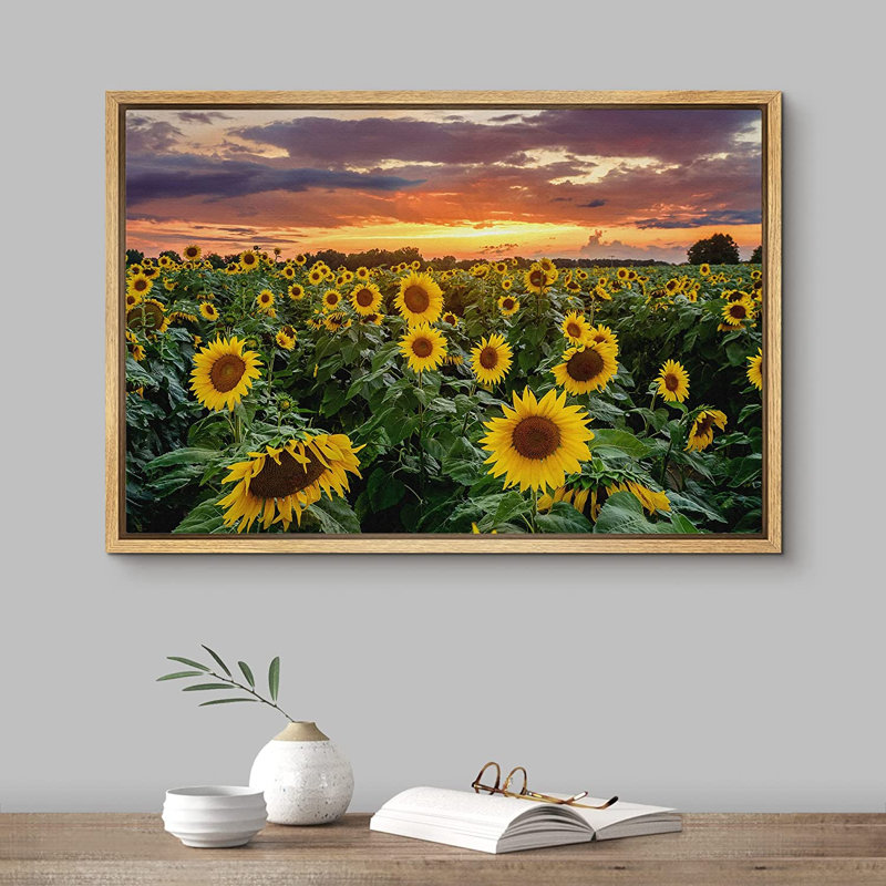 Tournesol, coucher de soleil, horizon, champ de tournesols, nature sauvage - photographie à cadre flottant, L 24 po x H 16 po