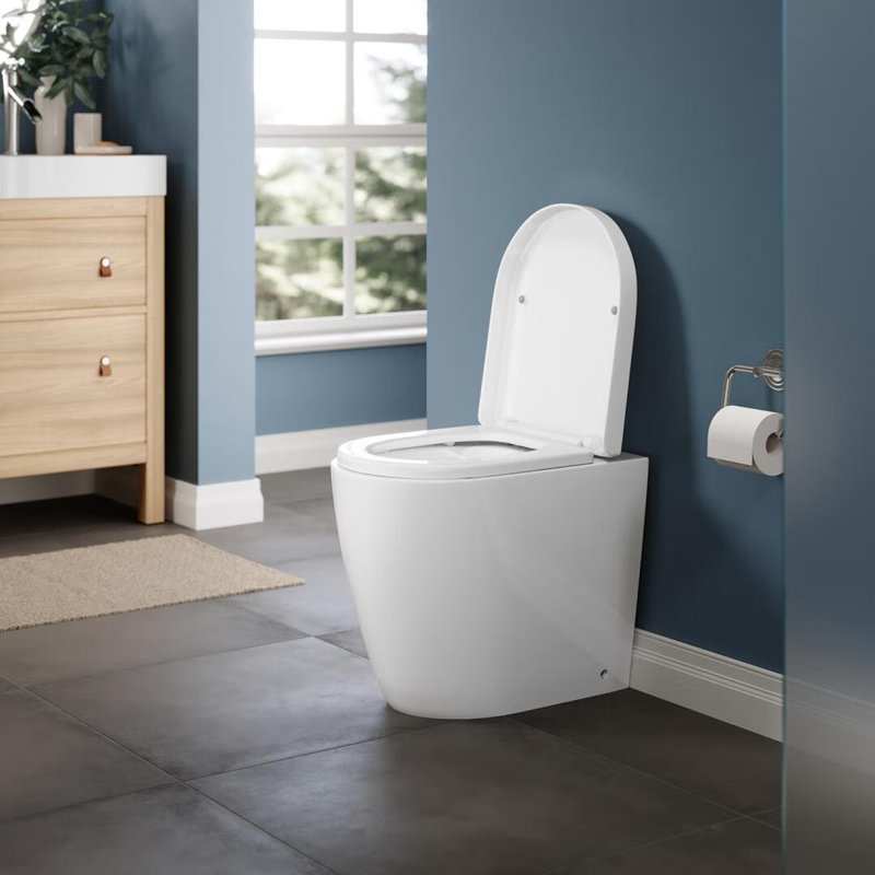 Belfry Bathroom Lappin 1.59L LPF Round Back To Wall Toilets (Seat Not Included)