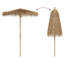 Beach Parasol