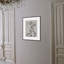 Lucent Botanicals 3 Print by Darrell Kincer-1106901373
